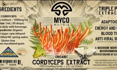 mycomatrix cordyceps