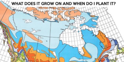 fruiting map