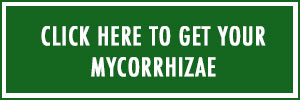 Click Here to Get Your Mycorrhizae