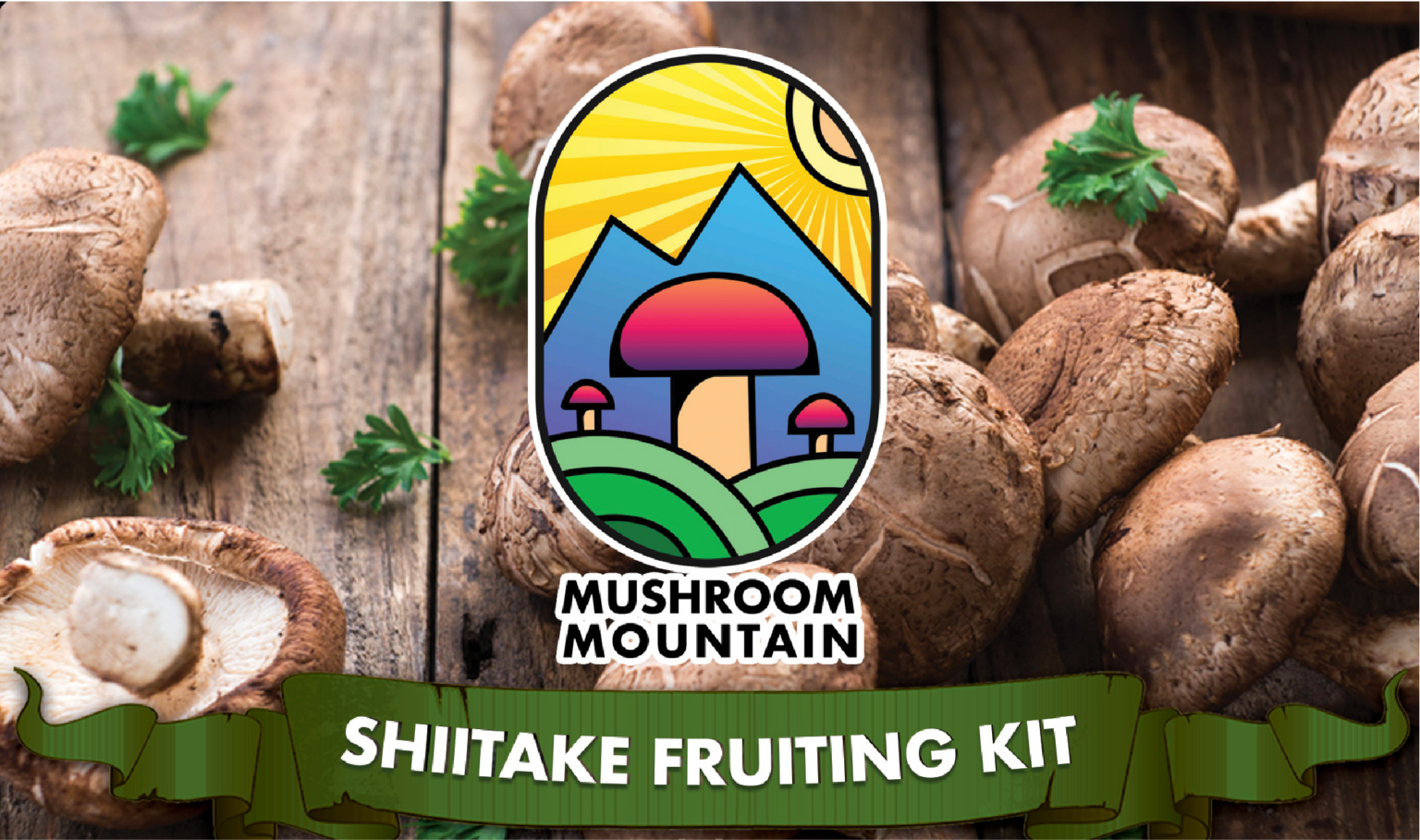 Shiitake Fruiting Kit Instructions Mushroom Mountain