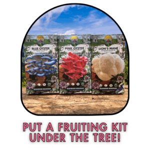 Put a Fruiting Kit Under The Tree