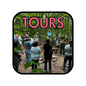 Mushroom Mountain Tour