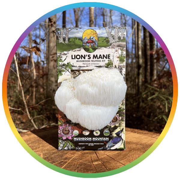 Indoor Lion's Mane Growing Kit