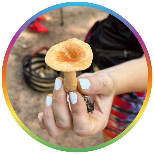 Woman on a mushroom mountain tour holding a mushroom from the nature trail