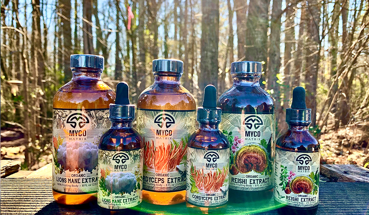 Experience Harmony with Nature