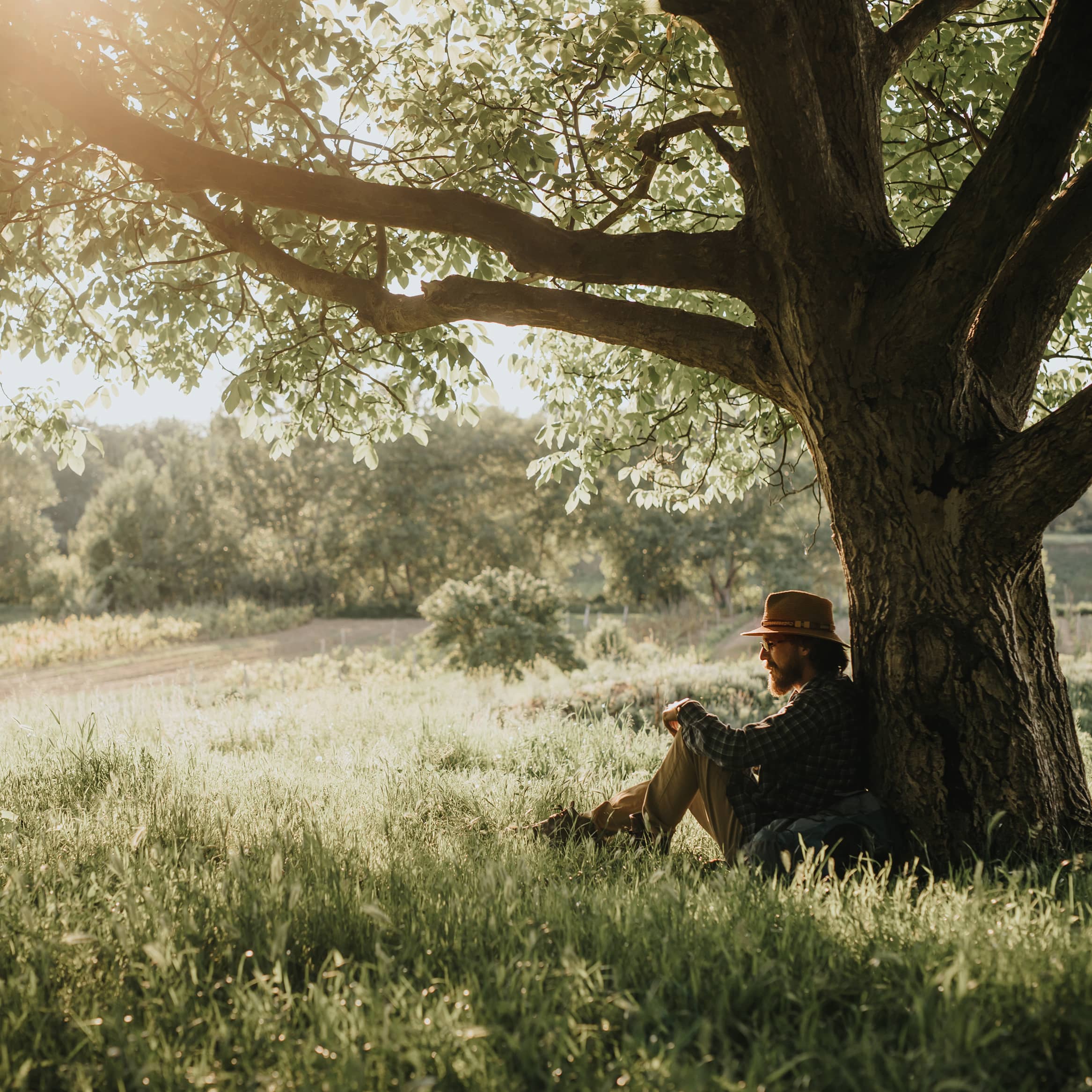 Man sitting under a tree