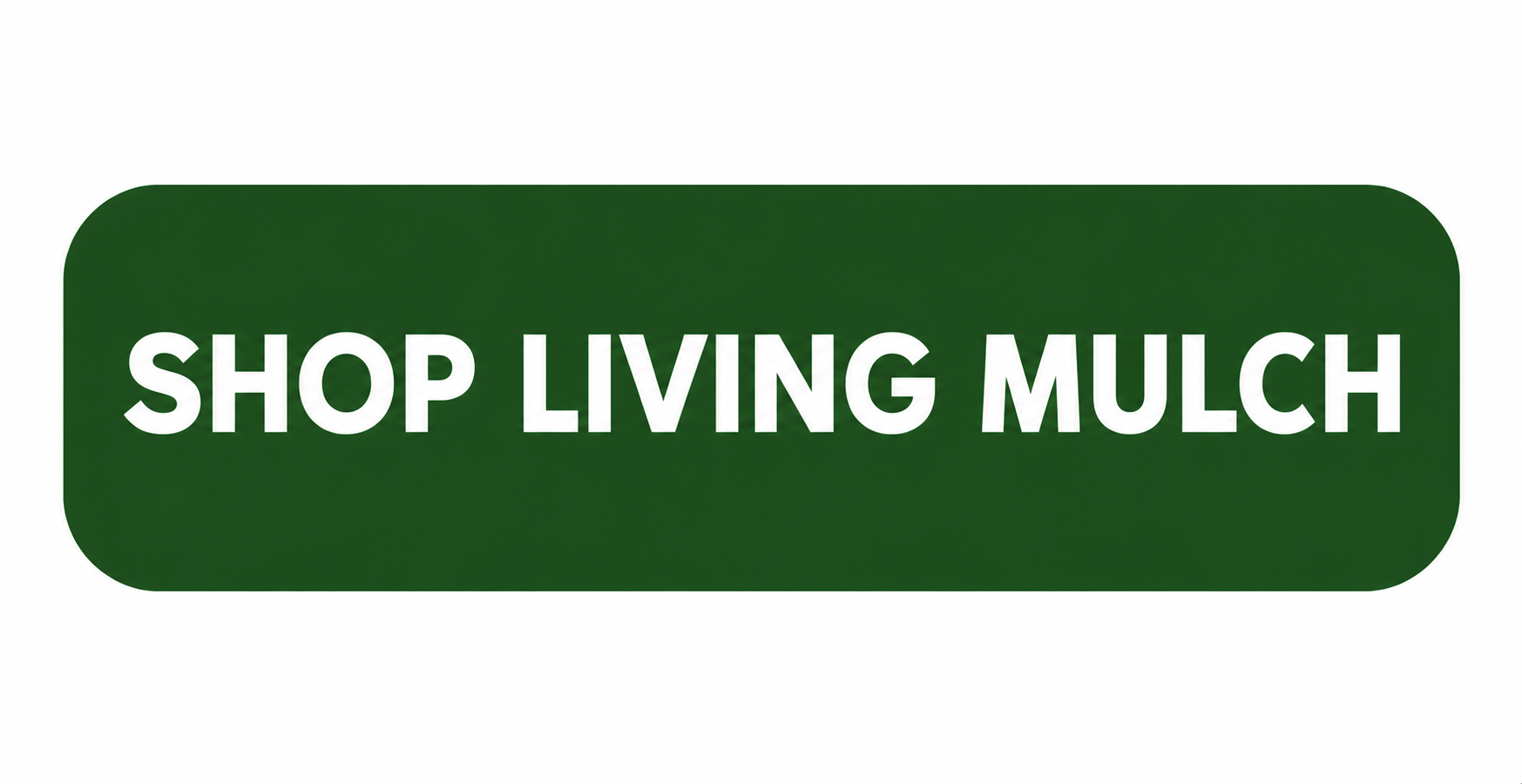 Shop Living Mulch 
