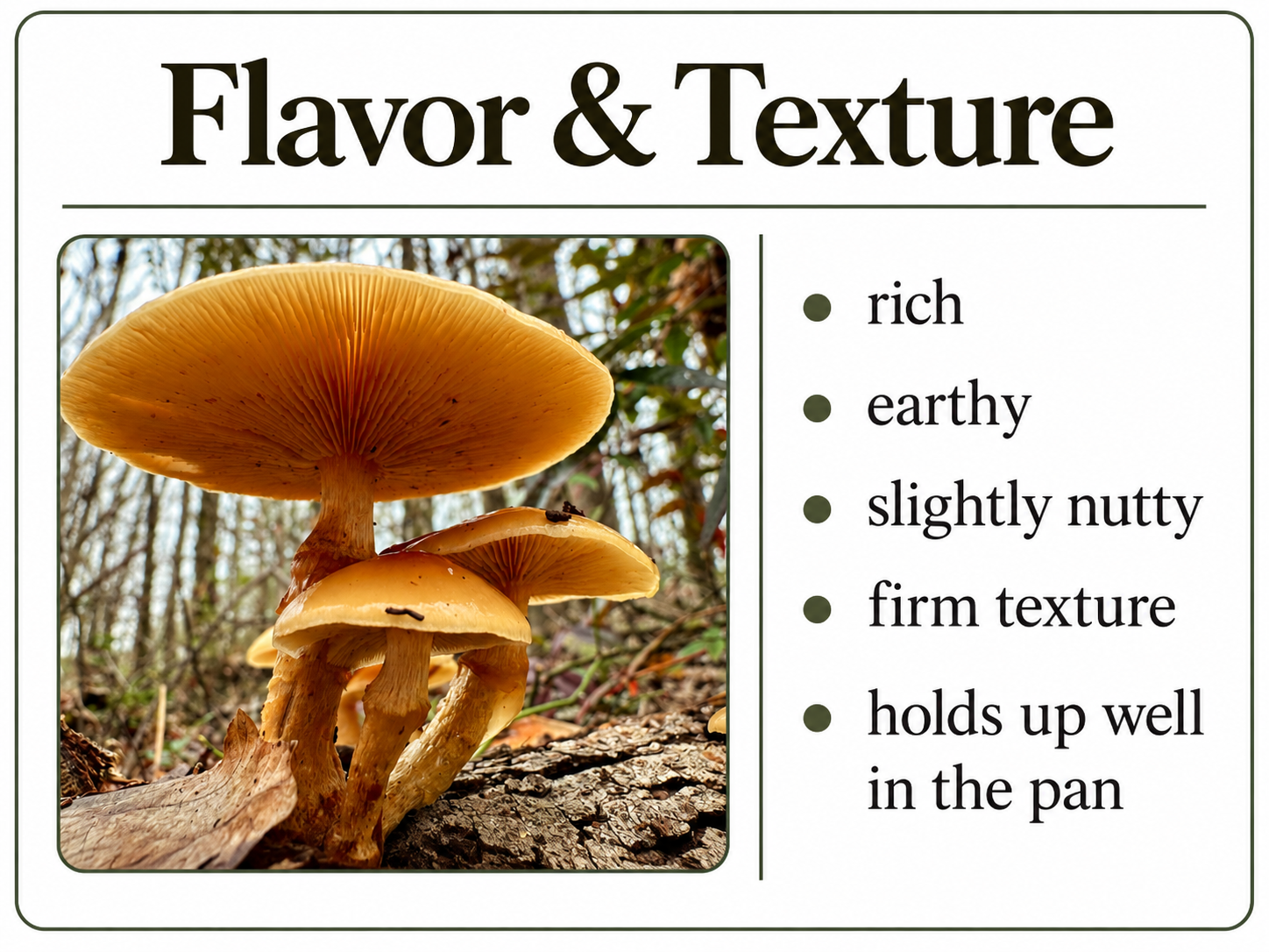Flavor And Texture