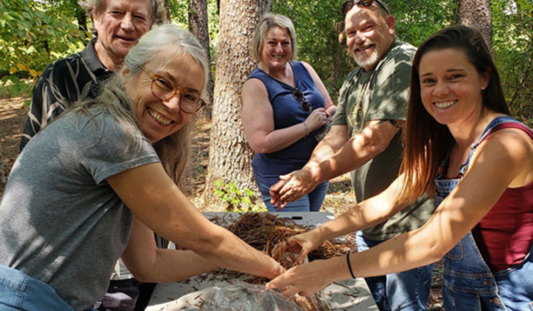 People working together growing mushrooms